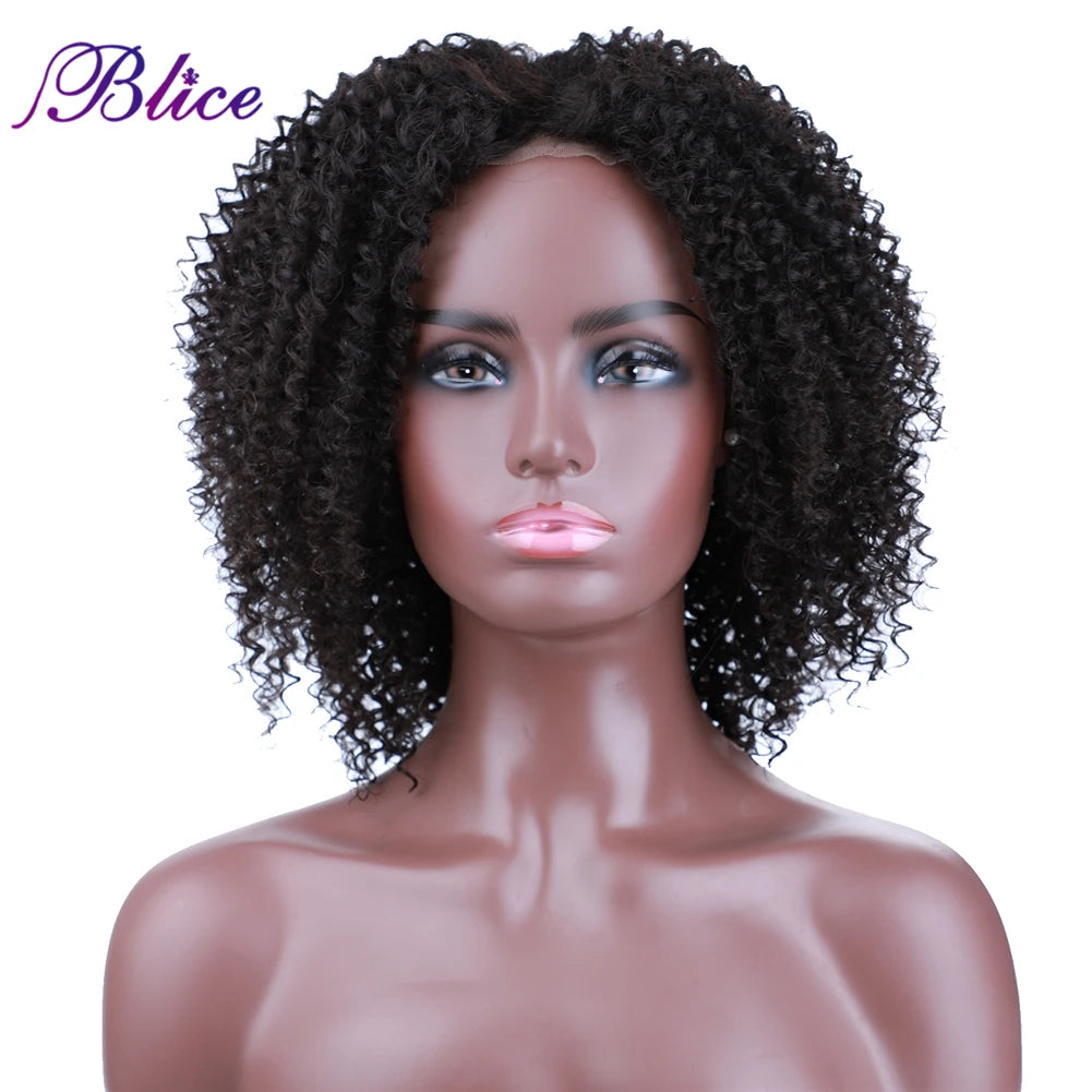 Blice Afro Kinky Curly Middle Part Closure Wig