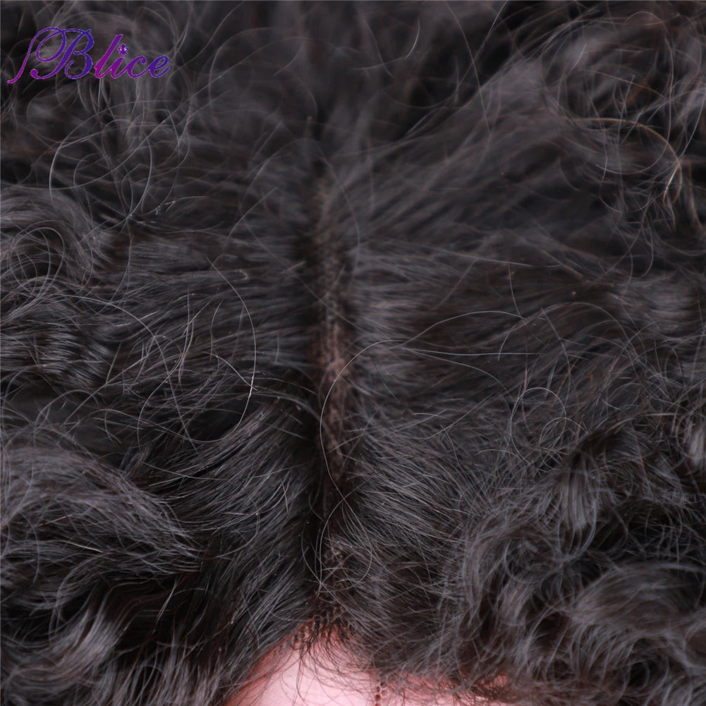 Blice Afro Kinky Curly Middle Part Closure Wig