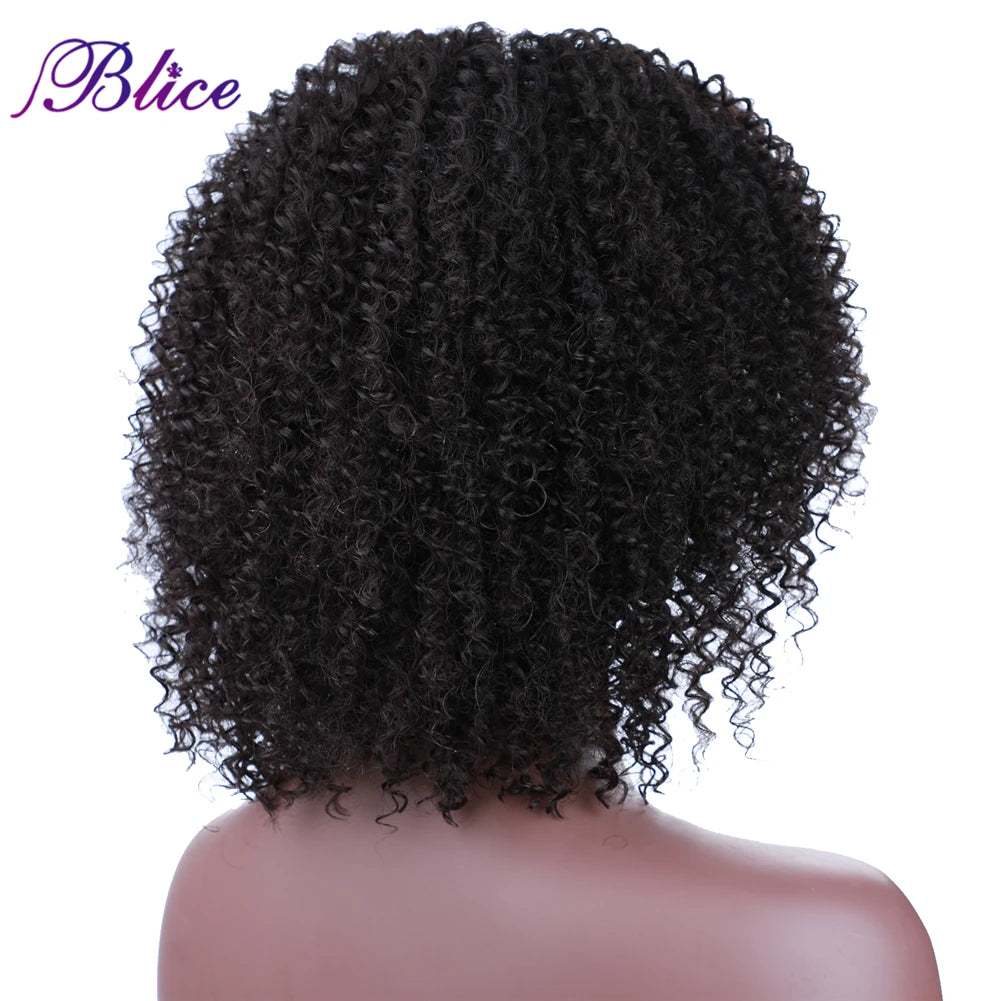 Blice Afro Kinky Curly Middle Part Closure Wig