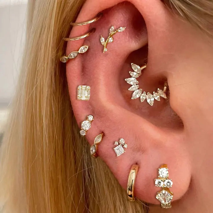 Stainless Steel & Zirconia Crystal Earrings